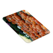 Pumpkins and Mums Autumn Harvest Photography Magneet (Rechterzijde)