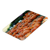 Pumpkins and Mums Autumn Harvest Photography Magneet (Linkerzijde)