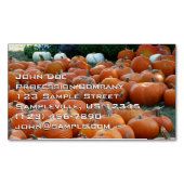 Pumpkins and Mums Autumn Harvest Photography Magnetisch Visitekaartje (Voorkant)