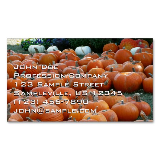 Pumpkins and Mums Autumn Harvest Photography Magnetisch Visitekaartje (Voorkant)