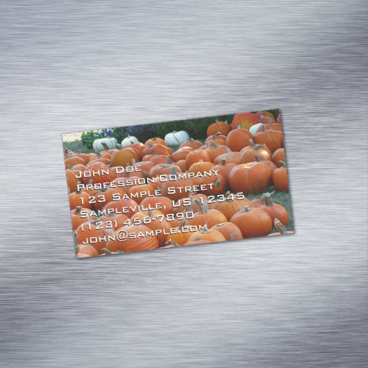 Pumpkins and Mums Autumn Harvest Photography Magnetisch Visitekaartje (Voorbeeld)