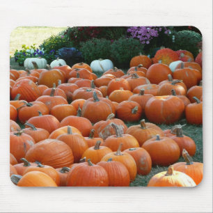 Pumpkins and Mums Autumn Harvest Photography Muismat