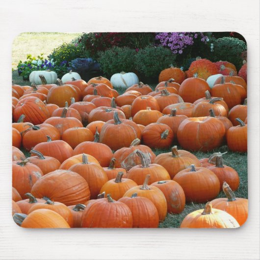 Pumpkins and Mums Autumn Harvest Photography Muismat (Voorkant)
