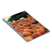 Pumpkins and Mums Autumn Harvest Photography Notitieboek (Rechterzijde)