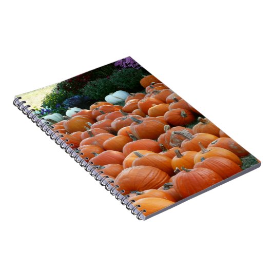 Pumpkins and Mums Autumn Harvest Photography Notitieboek (Rechterzijde)