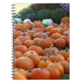 Pumpkins and Mums Autumn Harvest Photography Notitieboek (Voorkant)