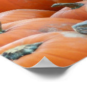 Pumpkins and Mums Autumn Harvest Photography Poster (Hoek)