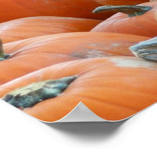 Pumpkins and Mums Autumn Harvest Photography Poster (Hoek)