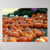 Pumpkins and Mums Autumn Harvest Photography Poster (Voorkant)