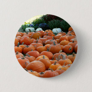 Pumpkins and Mums Autumn Harvest Photography Ronde Button 5,7 Cm