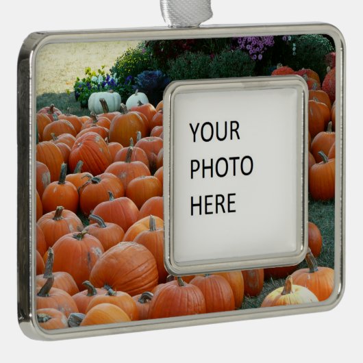 Pumpkins and Mums Autumn Harvest Photography Verzilverd Omlijst Ornament (Rechts)