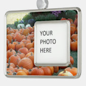 Pumpkins and Mums Autumn Harvest Photography Verzilverd Omlijst Ornament (Links)