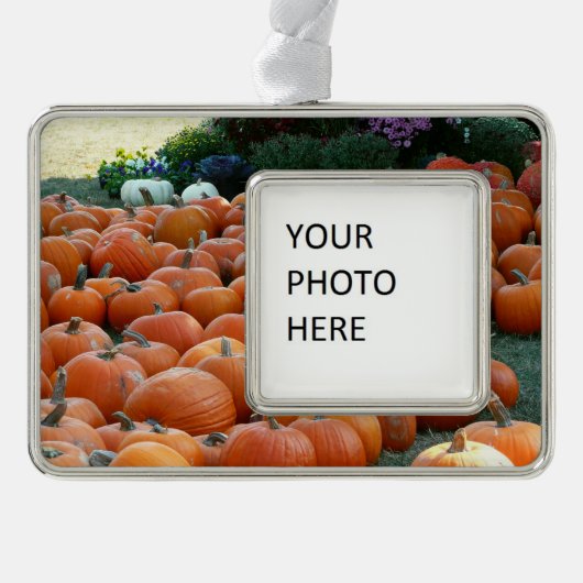 Pumpkins and Mums Autumn Harvest Photography Verzilverd Omlijst Ornament (Voorkant)