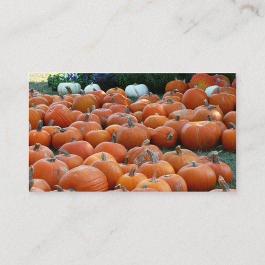Pumpkins and Mums Autumn Harvest Photography Visitekaartje (Achterkant)