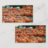 Pumpkins and Mums Autumn Harvest Photography Visitekaartje (Voorkant / Achterkant)