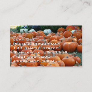 Pumpkins and Mums Autumn Harvest Photography Visitekaartje