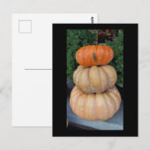 Pumpkins Autumn briefkaart (Voorkant / Achterkant)