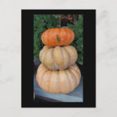 Pumpkins Autumn briefkaart (Voorkant)