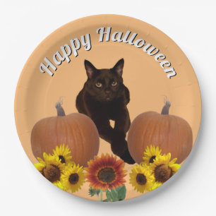 Pumpkins Black Cat met Crossed Paws Halloween Papieren Bordje