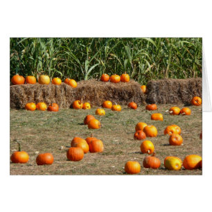 Pumpkins, Corn en Hay Autumn Fotografie