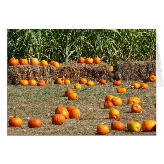 Pumpkins, Corn en Hay Autumn Fotografie (Voorkant Horizontaal)