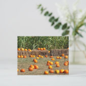 Pumpkins, Corn en Hay Autumn Fotografie Briefkaart (Staand voorkant)