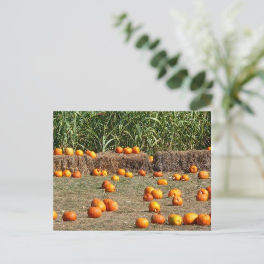 Pumpkins, Corn en Hay Autumn Fotografie Briefkaart (Staand voorkant)