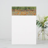 Pumpkins, Corn en Hay Autumn Fotografie Briefpapier (Staand voorkant)
