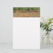 Pumpkins, Corn en Hay Autumn Fotografie Briefpapier (Staand voorkant)