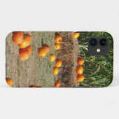 Pumpkins, Corn en Hay Autumn Fotografie Case-Mate iPhone Case (Achterkant (horizontaal))