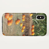 Pumpkins, Corn en Hay Autumn Fotografie Case-Mate iPhone Case (Achterkant (horizontaal))