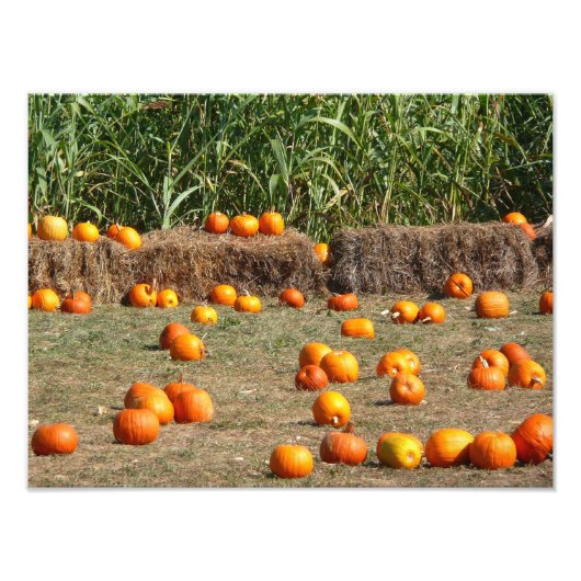 Pumpkins, Corn en Hay Autumn Fotografie Foto Afdruk (Voorkant)