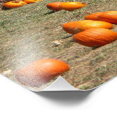 Pumpkins, Corn en Hay Autumn Fotografie Foto Afdruk (Hoek)