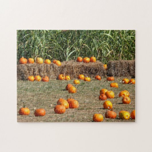 Pumpkins, Corn en Hay Autumn Fotografie Legpuzzel (Horizontaal)