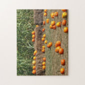 Pumpkins, Corn en Hay Autumn Fotografie Legpuzzel (Verticaal)