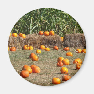 Pumpkins, Corn en Hay Autumn Fotografie Magneet