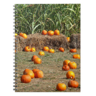 Pumpkins, Corn en Hay Autumn Fotografie Notitieboek