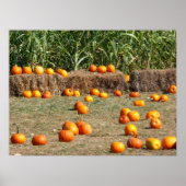 Pumpkins, Corn en Hay Autumn Fotografie Poster (Voorkant)