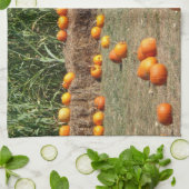 Pumpkins, Corn en Hay Autumn Fotografie Theedoek (Gevouwen)