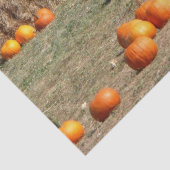 Pumpkins, Corn en Hay Autumn Fotografie Tissuepapier (Detail)