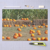 Pumpkins, Corn en Hay Autumn Fotografie Tissuepapier (Craft)
