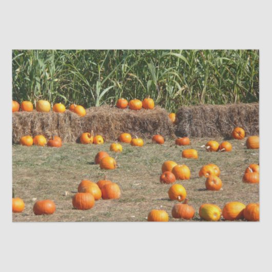 Pumpkins, Corn en Hay Autumn Fotografie Tissuepapier (Voorkant)