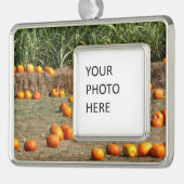 Pumpkins, Corn en Hay Autumn Fotografie Verzilverd Omlijst Ornament (Links)