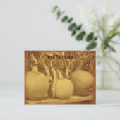  Pumpkins Cornstalks  Briefkaart (Staand voorkant)