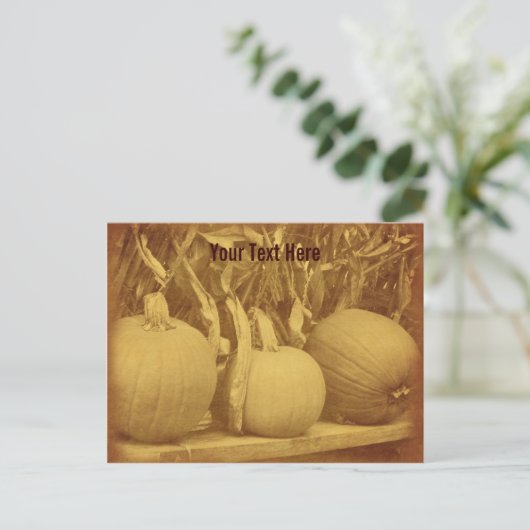  Pumpkins Cornstalks  Briefkaart (Staand voorkant)