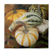 Pumpkins en Squash Stilleven Foto Tegeltje (Voorkant)