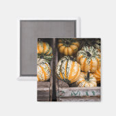 "PUMPKINS" FOOD REFRIDGERATOR MAGNET (Voorkant / Achterkant)