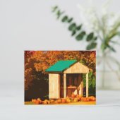 Pumpkins for Sale Briefkaart (Staand voorkant)