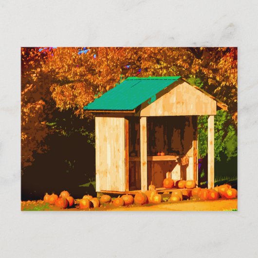 Pumpkins for Sale Briefkaart (Voorkant)