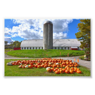 Pumpkins for Sale in Pennsylvania Boerderij Barn Foto Afdruk